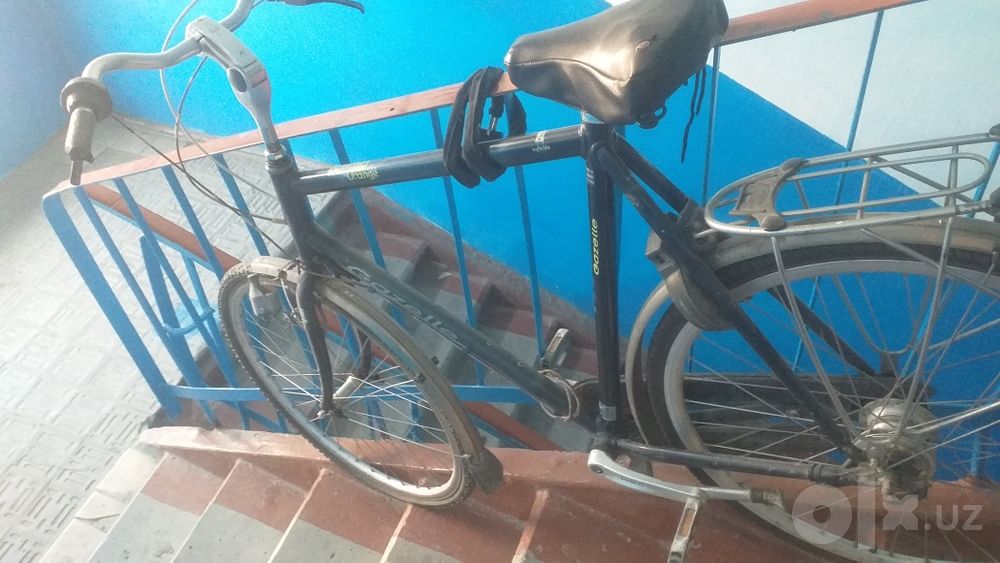 Velik Gazell 7 skors