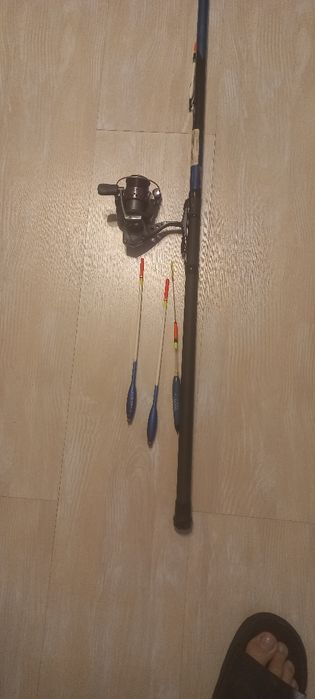 Set Varga si bologneza Cardinall