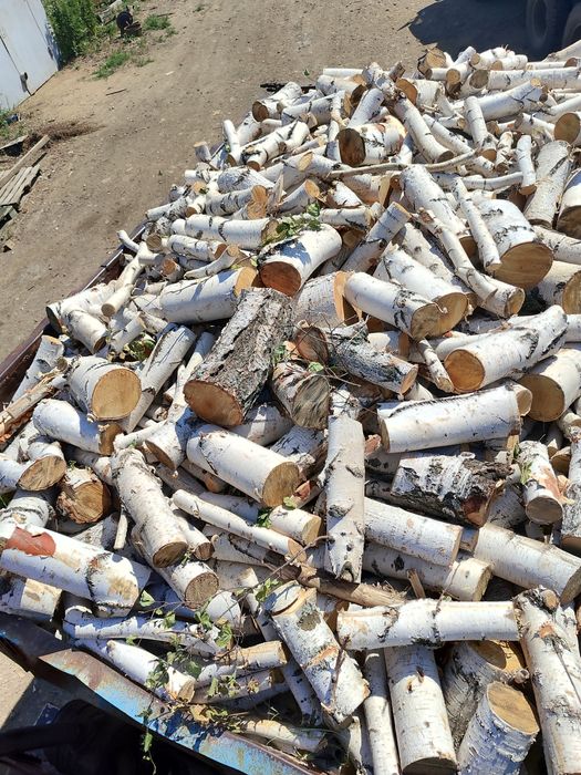 Продам дрова  береза чурками.