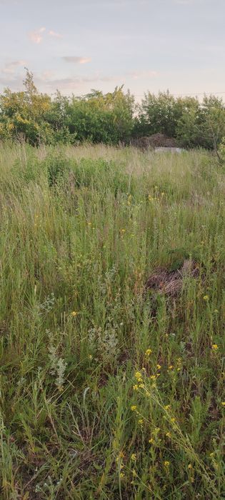 Продаётся дачный участок