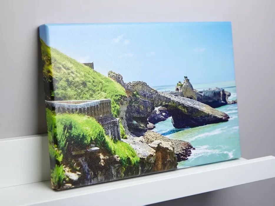 Canvas la metru - Print Profesional