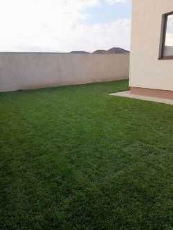 Gazon Rulou, Sisteme de irigare