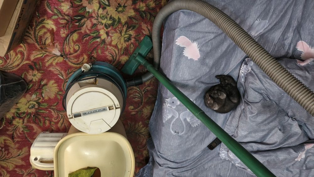 Пылесос аудра в хорошем состоянии