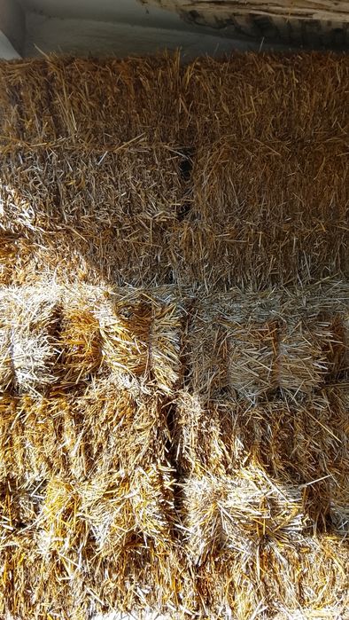 Baloți paie grâu,orz si ovaz