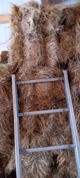 Vând  balotat de fan