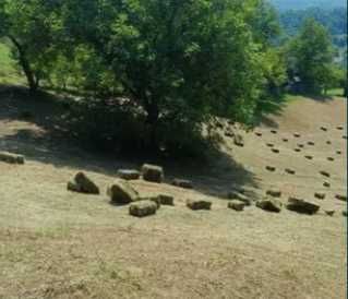 Baloți de Fân 2025