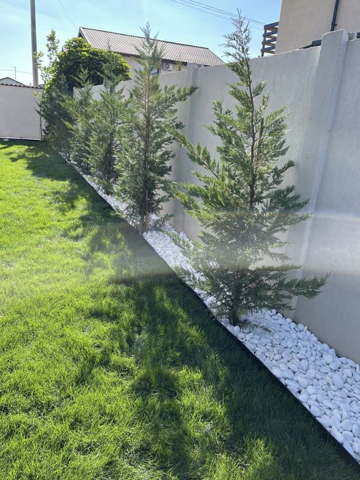 Amenajari gradini si Montaj Pavele , Proiecte Peisagistica