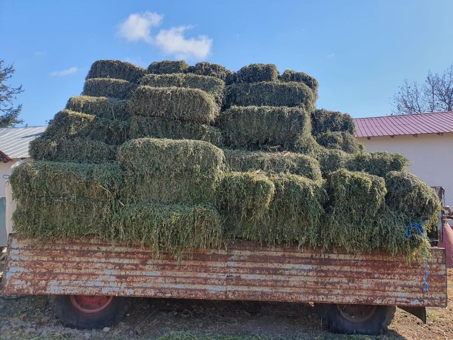 Baloti de Lucerna, Paie, Fan