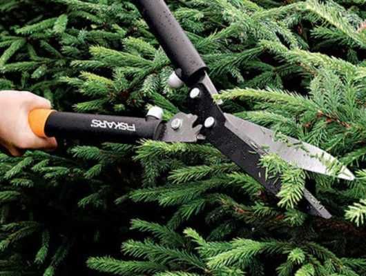 Archa dorilash kesish va kesish dorilash gazon ekish va o'rish