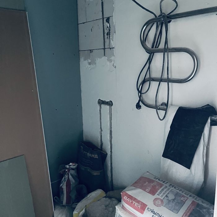 Дача Нургиса Тлендиева