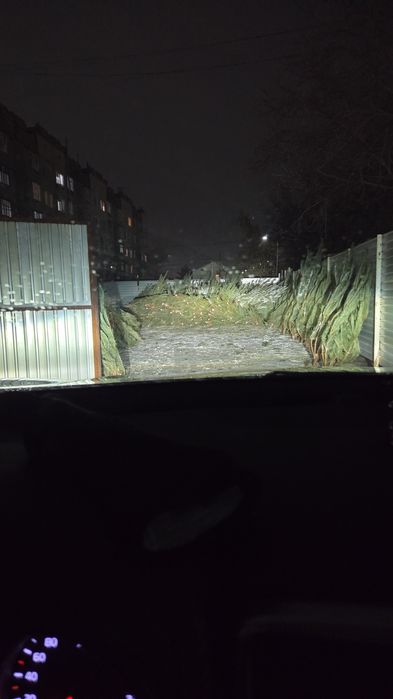 Елки в наличии по 5000