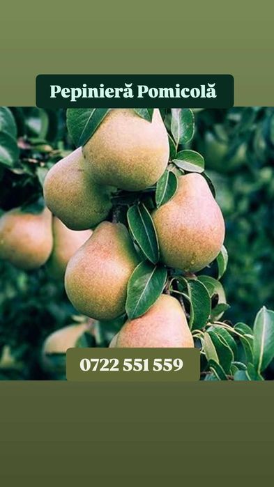 Pomii columnarii pe rod