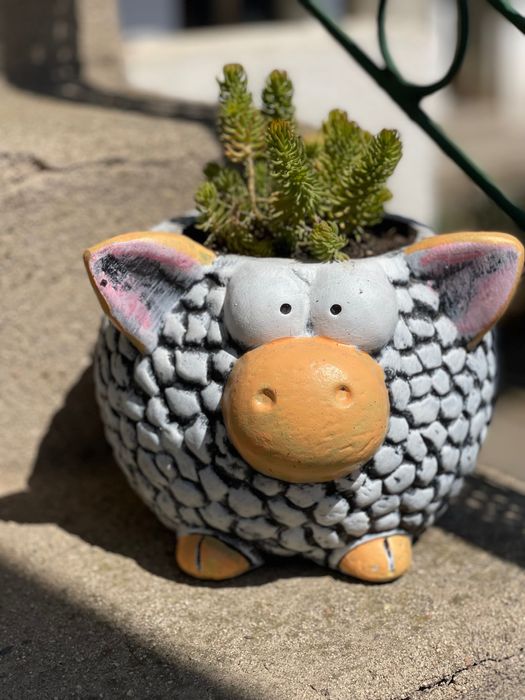 Подаръци,декорации