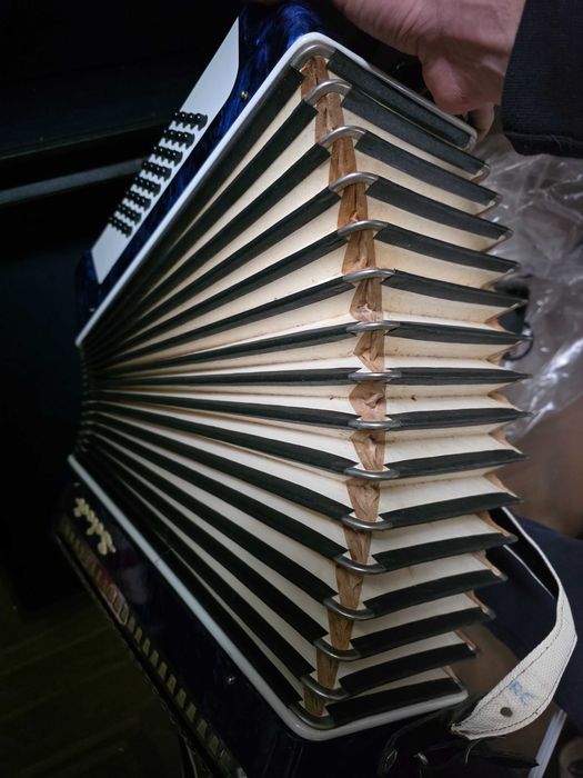 Acordeon romanesc Timis Select
