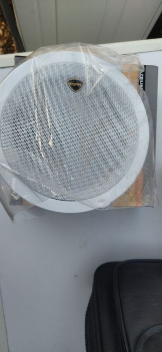 Patalog kalonkasi