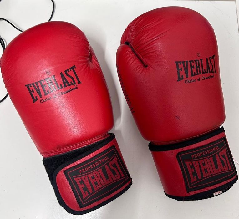 Боксерские перчатки Everlast Professional