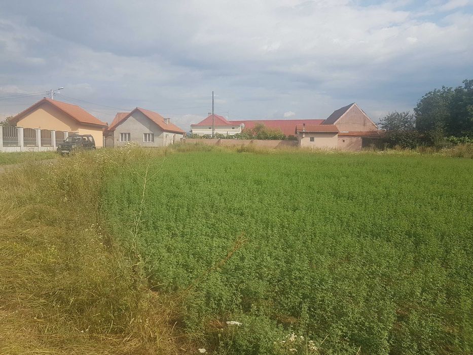 Aurel Vlaicu - PUZ construirii de locuințe aprobat