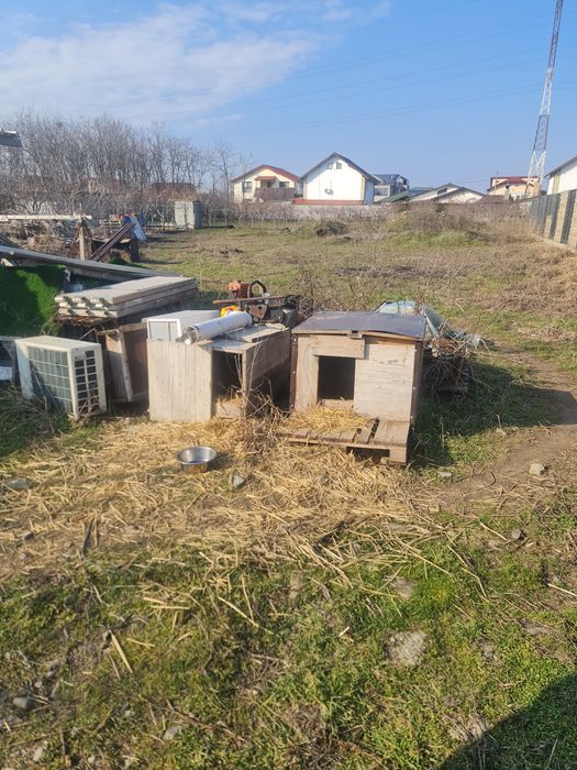 Vind teren  1100 metri  linga benzinaria  moll