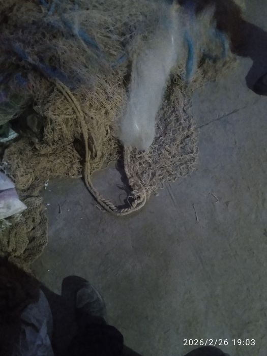 Holati yaxshi  kelishiladi yilim