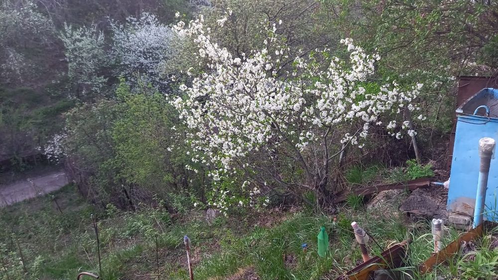 Продам дачу кенсай