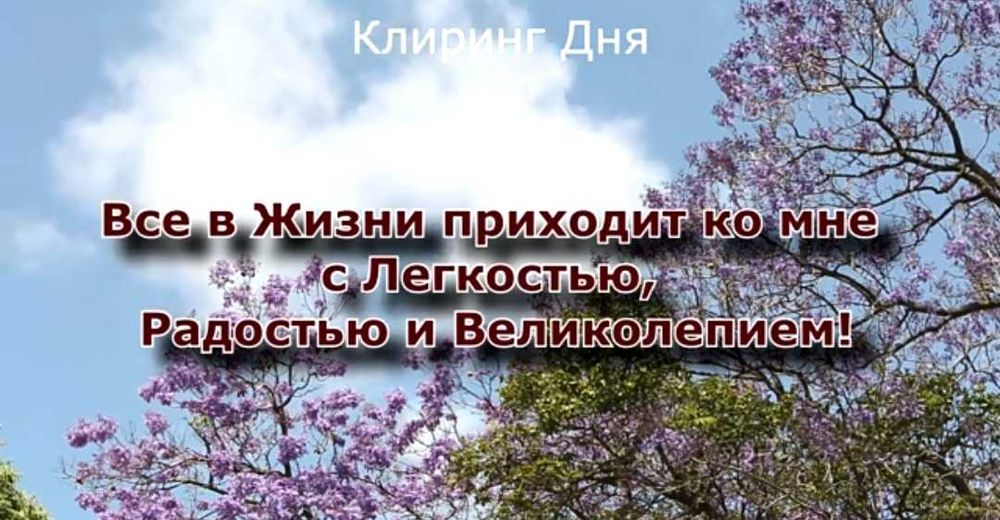 Аксесс барс и телесные процесс фейстлив