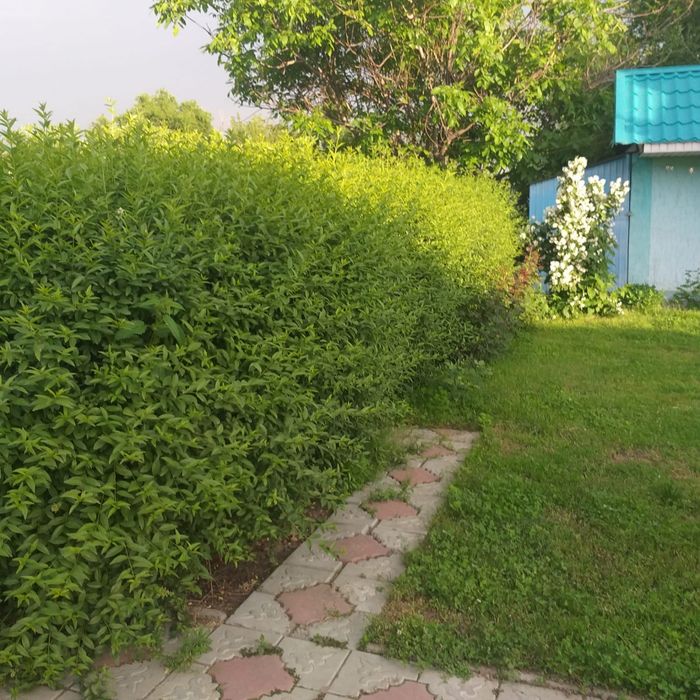 Продам дом! Коксай. 12 соток!