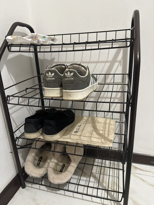 Обувница железная