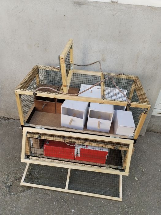 Accesorii porumbei și papagali