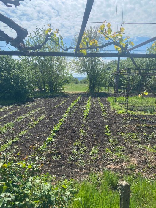 Каменна къща  с двор с. Вратарите на 35 км от Добрич и 60 км от Варна.