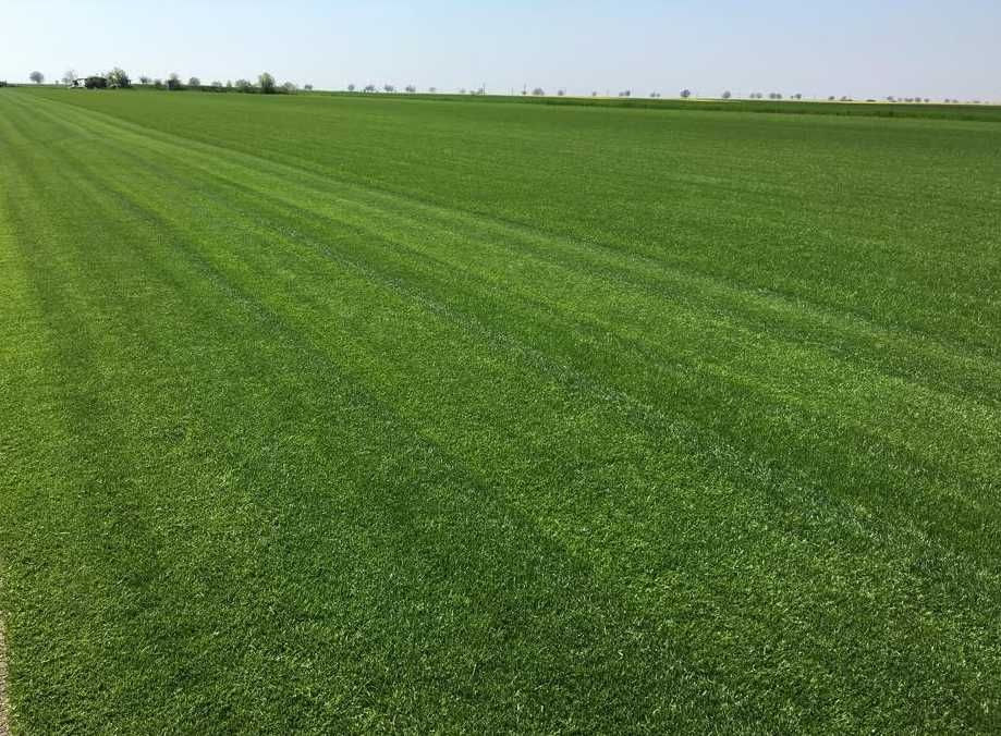 Montaj Gazon pentru Gradini, Vile si Spatii Verzi