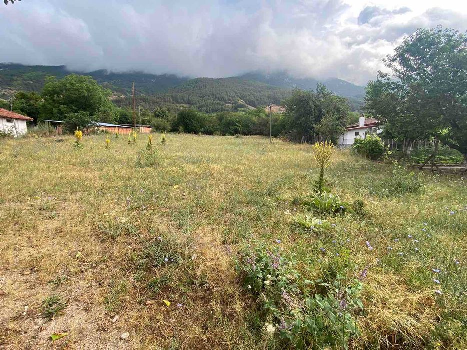 Продава се Парцел в Карлово - 1900 кв.м за 11 €/кв.м - Снимка #2