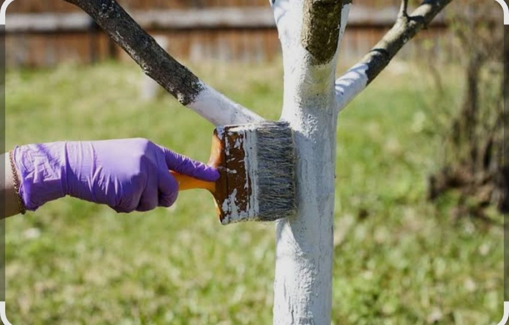 Богбон Садовник ,Gardener