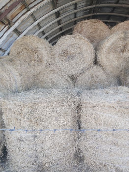 Продам сено в рулонах