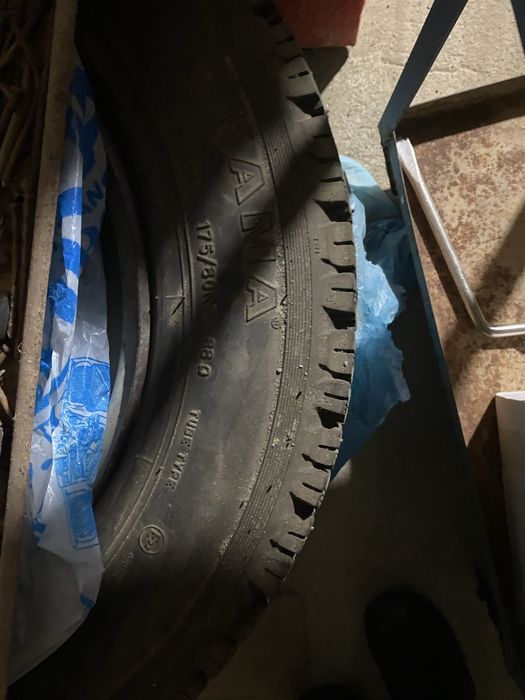 Нивага донгелек бар