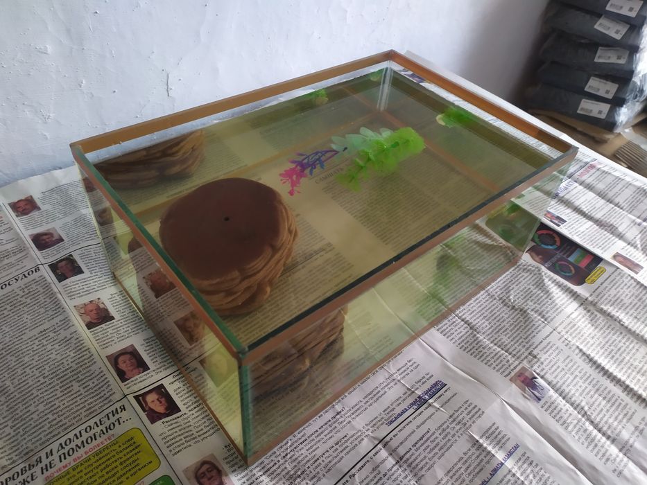 Аквариум для черепах. Бонусы.