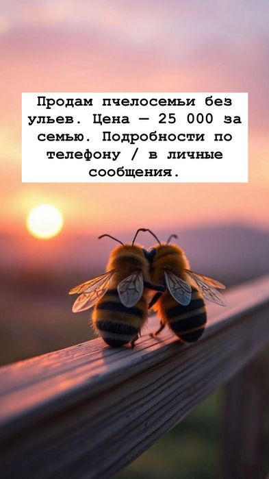 Пчелосемья без улья