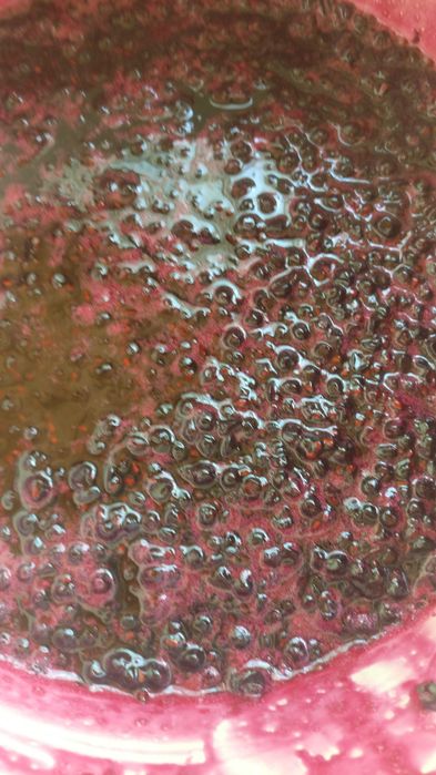 Dulceață de fructe de soc 2024 superdelicioasa