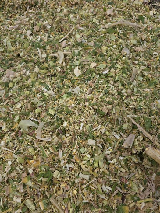 Siloz de porumb deosebit