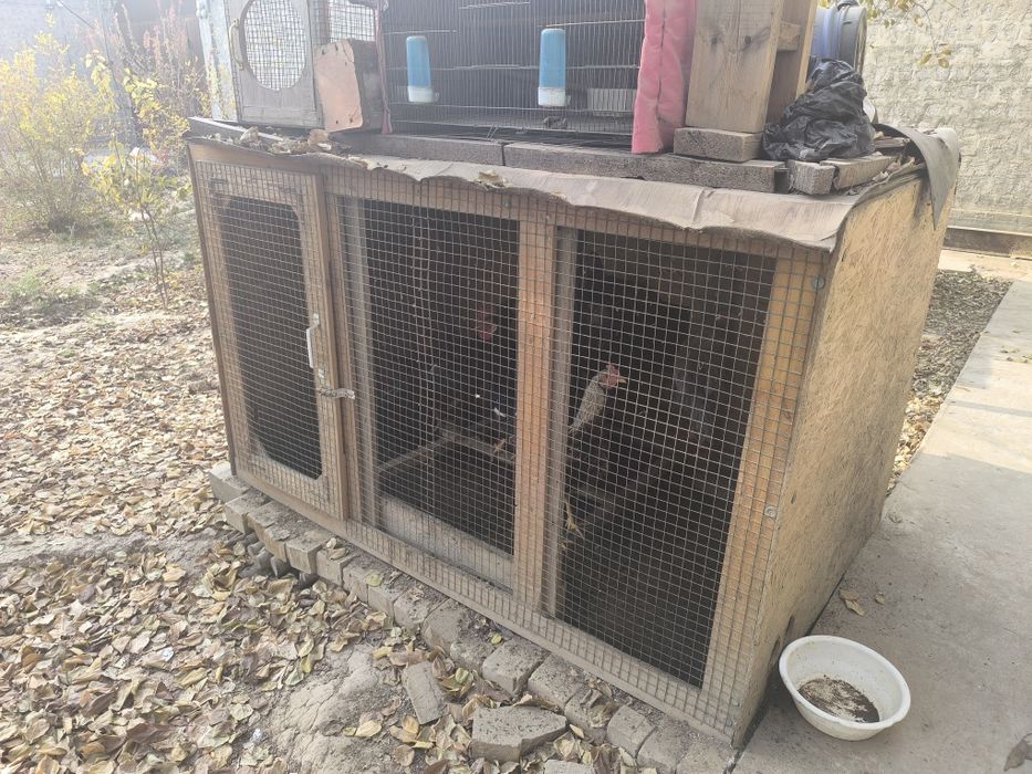 Товуқ хона сотилади 2×1×1,  10 та товуқга мўлжалланган