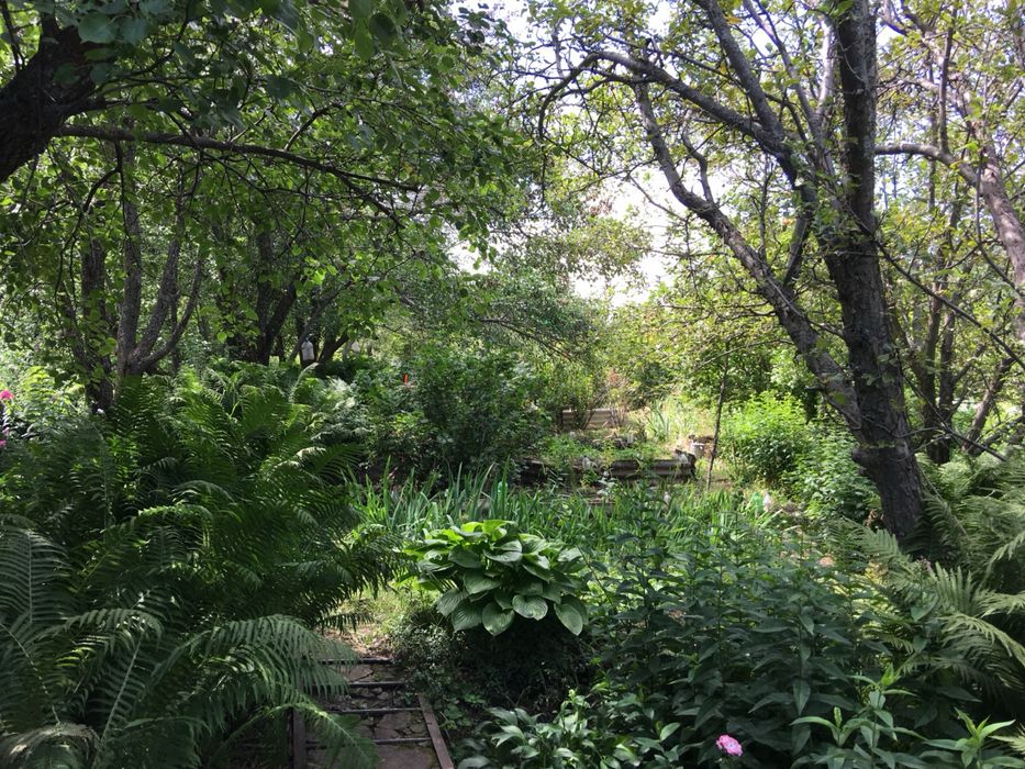 Продается Дача с участком