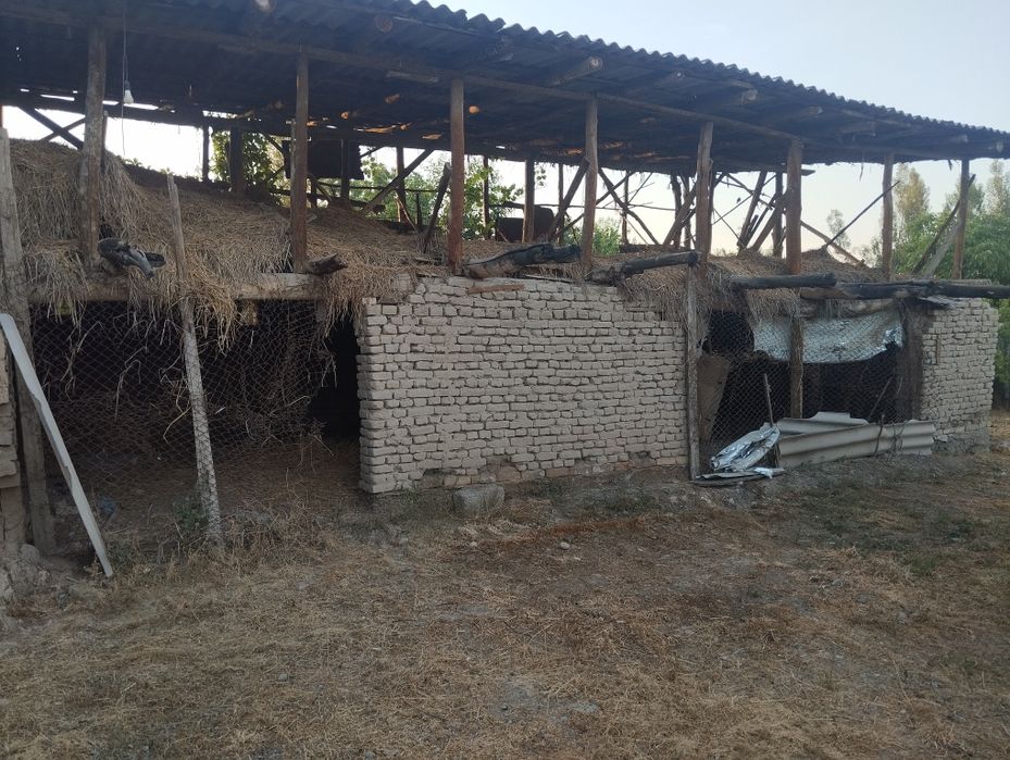 Участка сотилади. 9 соток