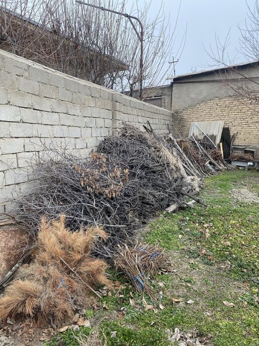 Утин, o’tin, дрова