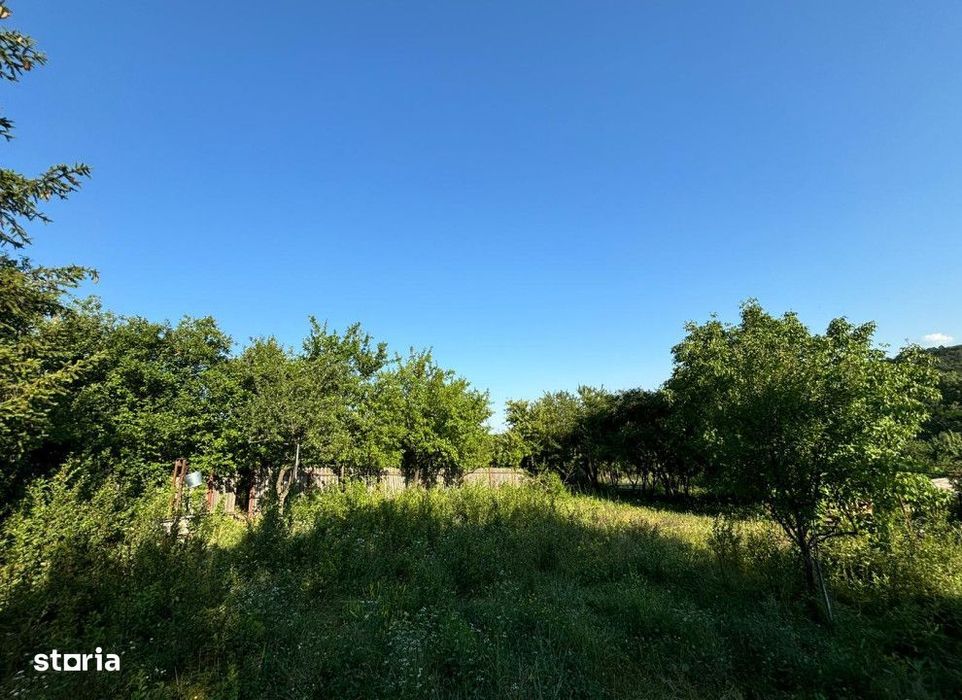 Teren intravilan Valea Adanca , 2540 metri Cod:155291