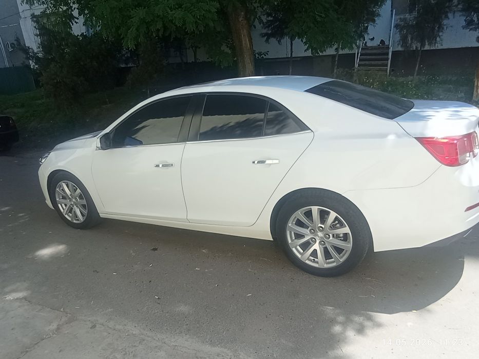 Malibu1 zor xolada