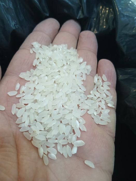 Хоразм гуруч база, оптом перечисления бор, Xorazm guruch optom