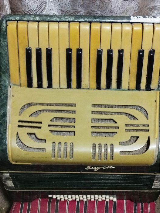 Аккордеон БИРСК.   .