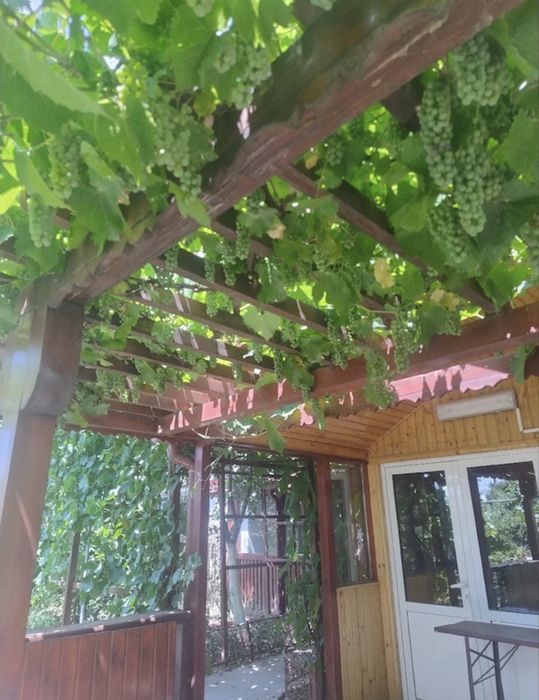 Vând teren intravilan, comuna Vînatori, judetul Galati!