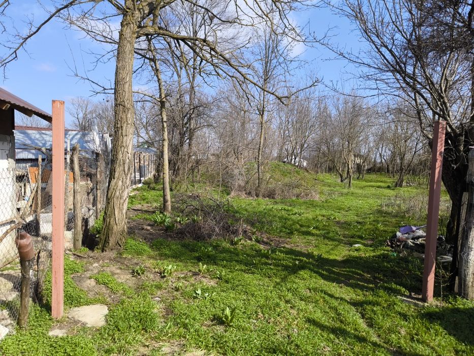 Vind teren intravilan in judetul Teleorman