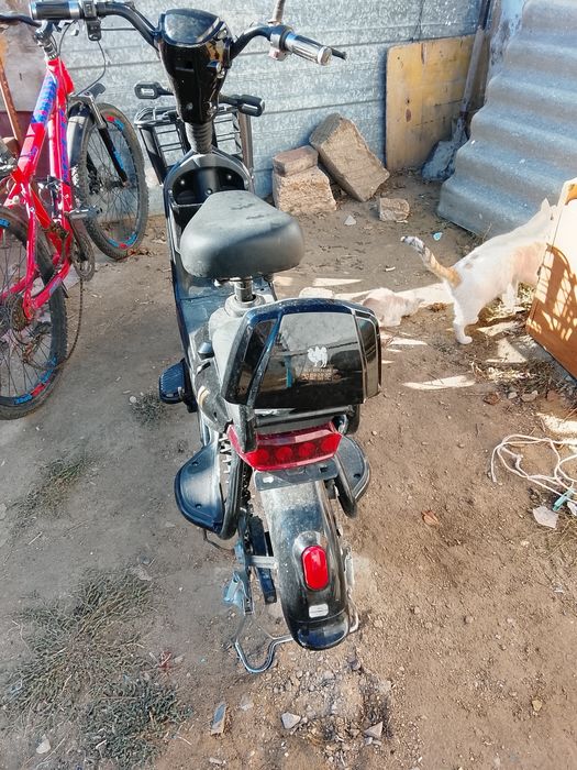 Скутер,Велосипед