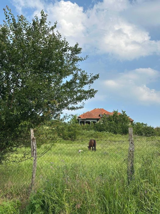 Ocazie unică - Casă Boierească - Filiaşi (Fratoştiţa)  - 8500 mp Teren